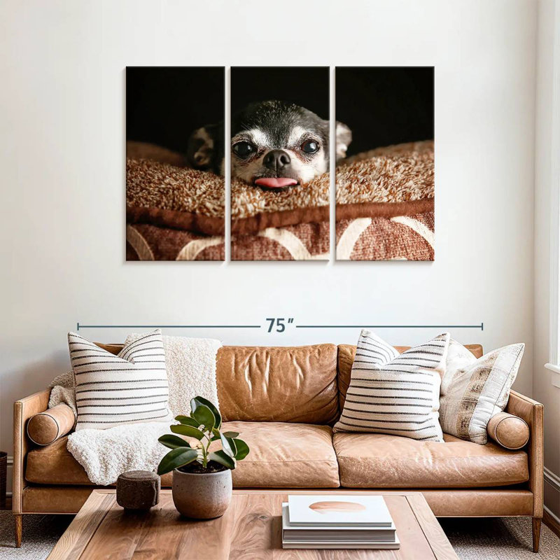 Chihuahua Brampt ludique, H 36 po x l 57 po