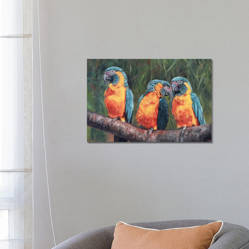 Macaws by David Stribbling - Wrapped Canvas Painting, 66.04 cm H x 45.72 cm W x 3.175 cm D