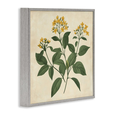 Yellow Bushels Botanical Illustration Framed Giclee, design by Petal Prints Design