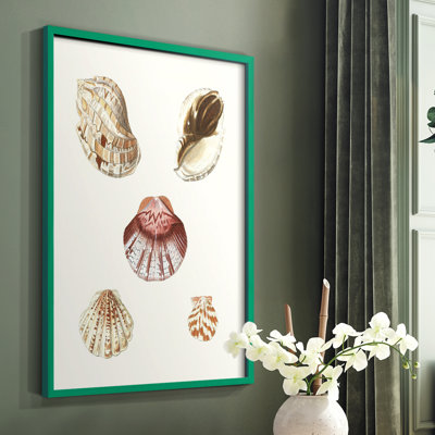 «Pastel Knorr Shells», reproduction encadrée en bois massif