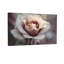 Plantes et fleurs rose tendre à motif floral rose-592007995