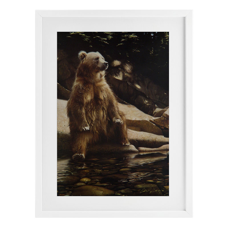 Cool Cool Bear Brown, reproduction encadrée sous verre, design par Collin Bogle, H 20 po x l 14 po, Cadre blanc côtier
