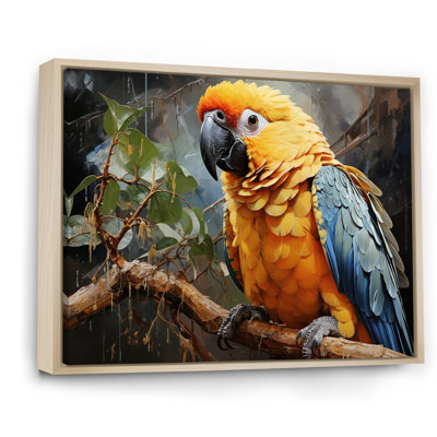 Perroquet harmonie tropicale I