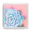 « réveil i », impression sur toile encadrée en bleu/rose succulent-1560021653-1560021654