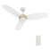 Demitro 3 Blades Smart DC Motor Ceiling Fan with LED light, Remote Control