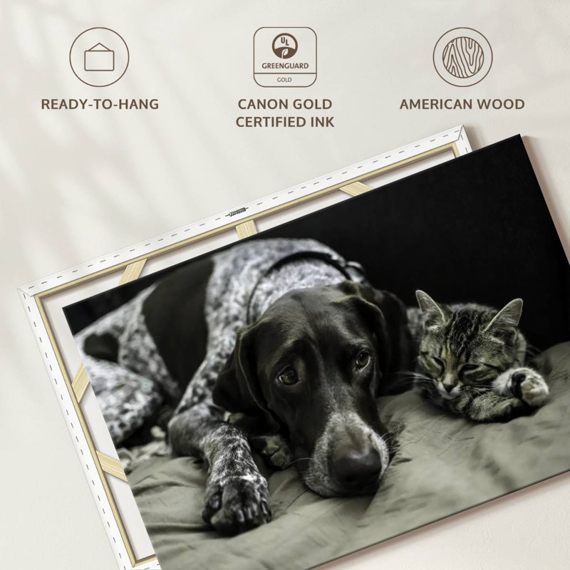 Dog And Cat Friends, 34" H x 51" W