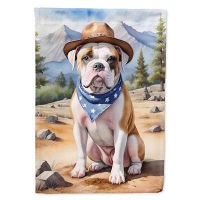 Drapeau Cowboy Welcome House