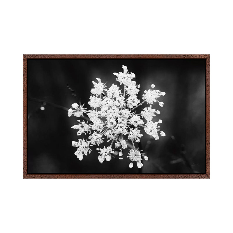 Diamond Brooch 1 Piece Wall Art on Canvas, 45.72cm H x 66.04cm W x 3.81cm D, Classic Brown Wood Framed