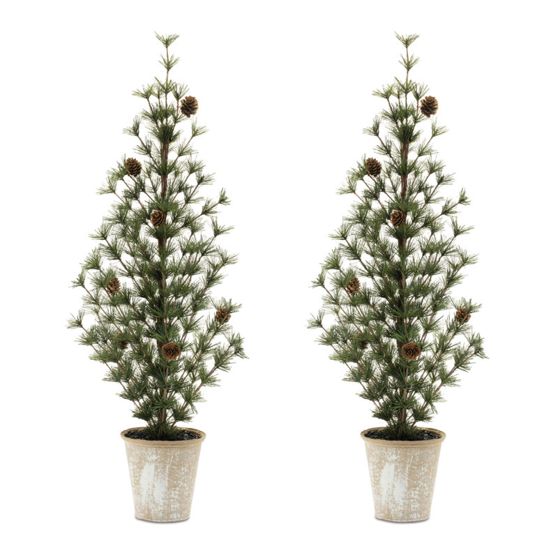 Mini pin en pot (ensemble de 2)