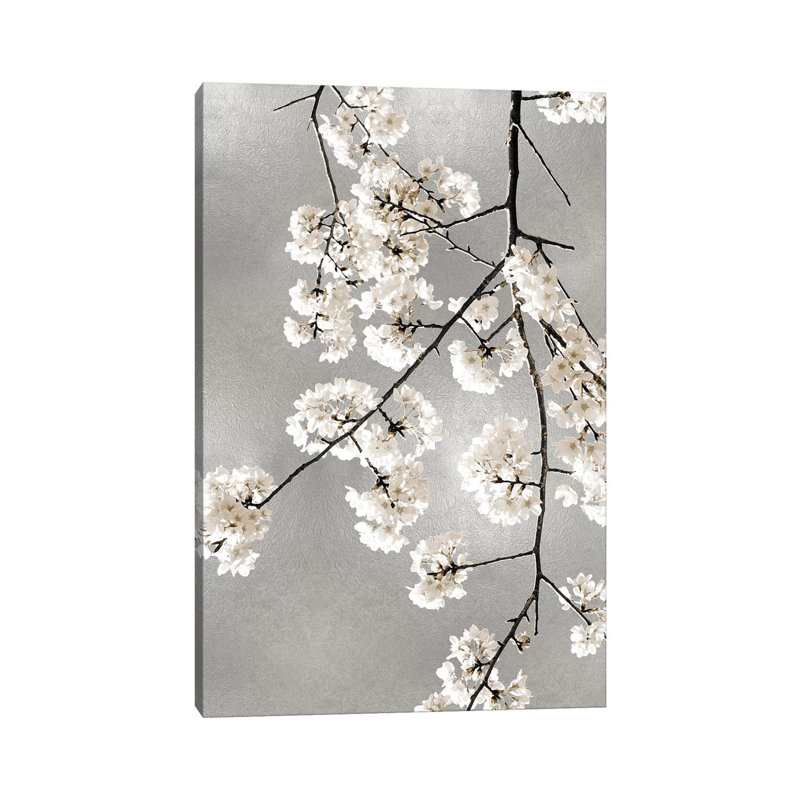 White Blossoms On Silver III by Kate Bennett - Wrapped Canvas Print, 66.04cm H x 45.72cm W x 3.81cm D