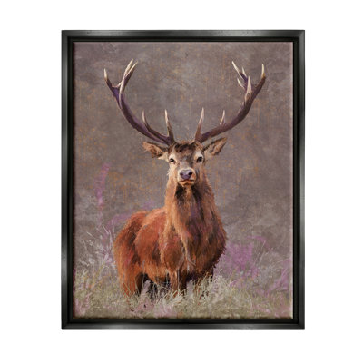 Elk Portrait Forest Grove Floater Canvas Wall Art By Pip Wilson -  Stupell Industries, au-160_ffb_24x30