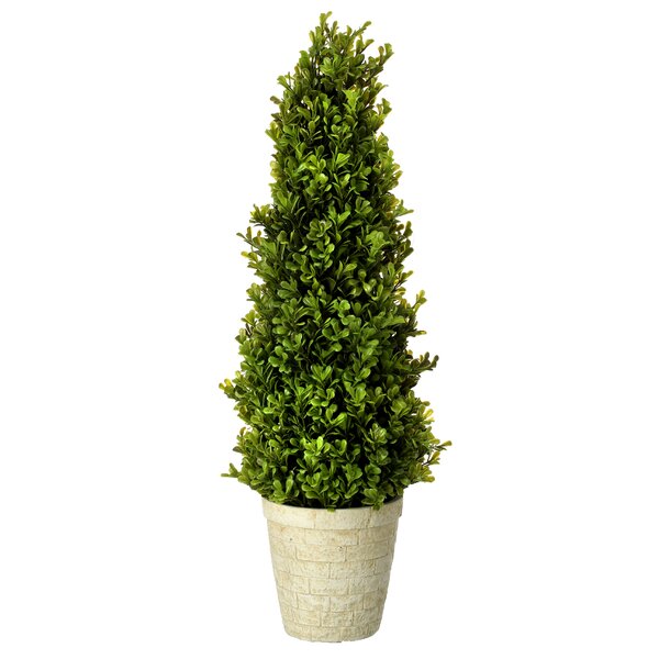 Charlton Home® Faux Boxwood Topiary in Cement Planter & Reviews | Wayfair