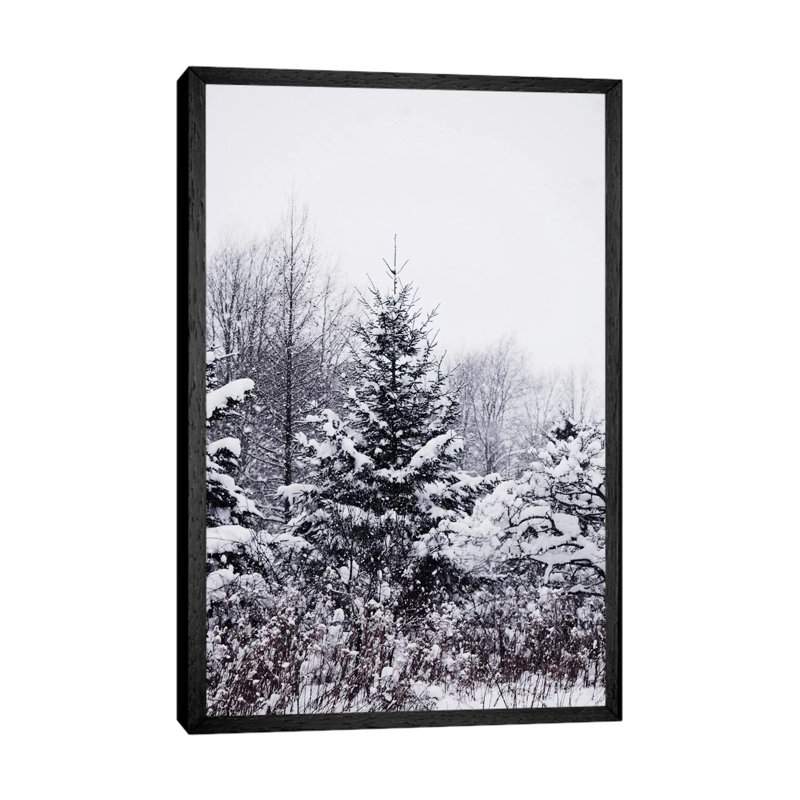 Winter Pines by Chelsea Victoria - Print on Canvas, 101.6 cm H x 66.04 cm W, Black Floater Framed