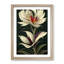 The Cosmopolitan Flower - Single Picture Frame Print-472108889-472108888