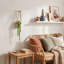 Arrangement de plantes grasses artificielles murales