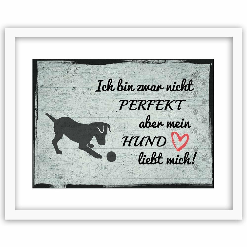 Gerahmter Grafikdruck Hund mit Ball