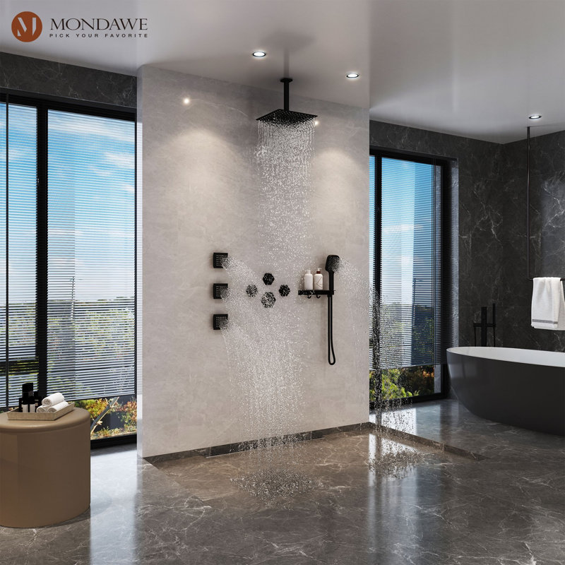 AquaRhapsody Ceiling Mounted Thermostatic Shower System with 4 Body Jets and Storage Shelf, Matte Black