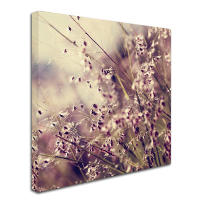 « field of soleil », reproduction de photo sur toile tendue