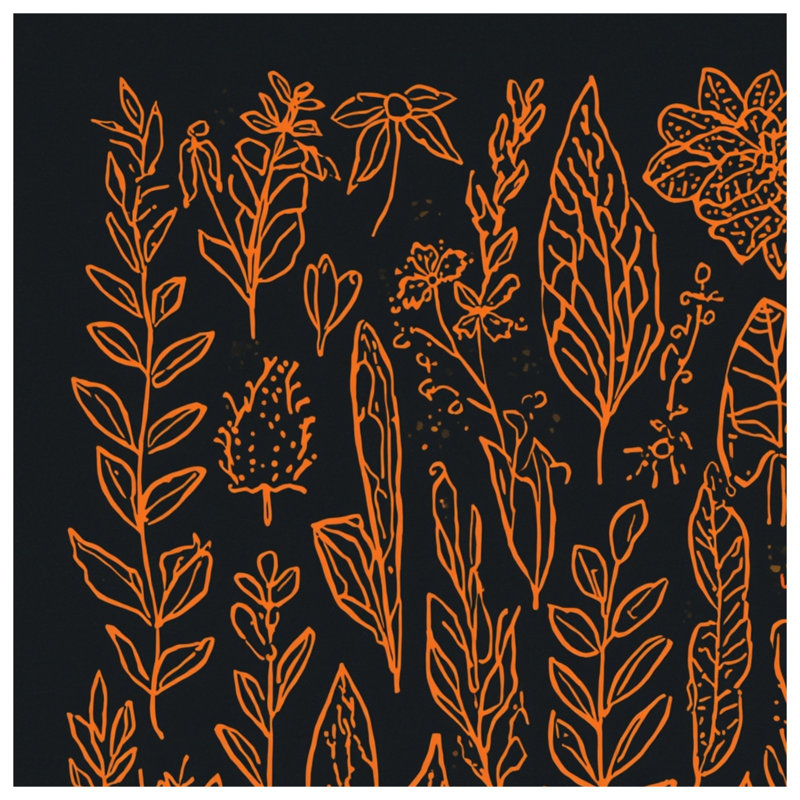 Couvertures orange avec illustrations botaniques, L 60 po x H 80 po