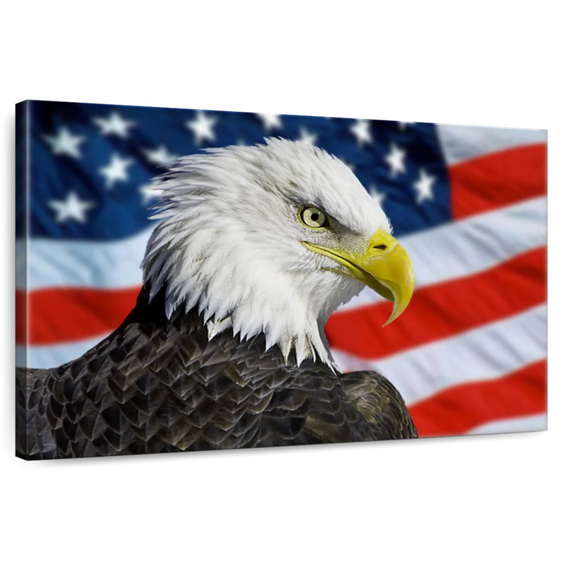 Brampt Patriotic Alaskan Bald Eagle, 34" H x 51" W