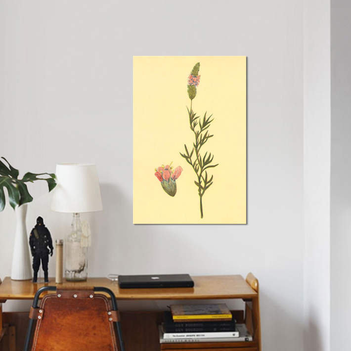 « prairie trèfle », impression sur toile, H 12 po x l 8 po x P 0,75 po, Pas de tapis, Toile tendue