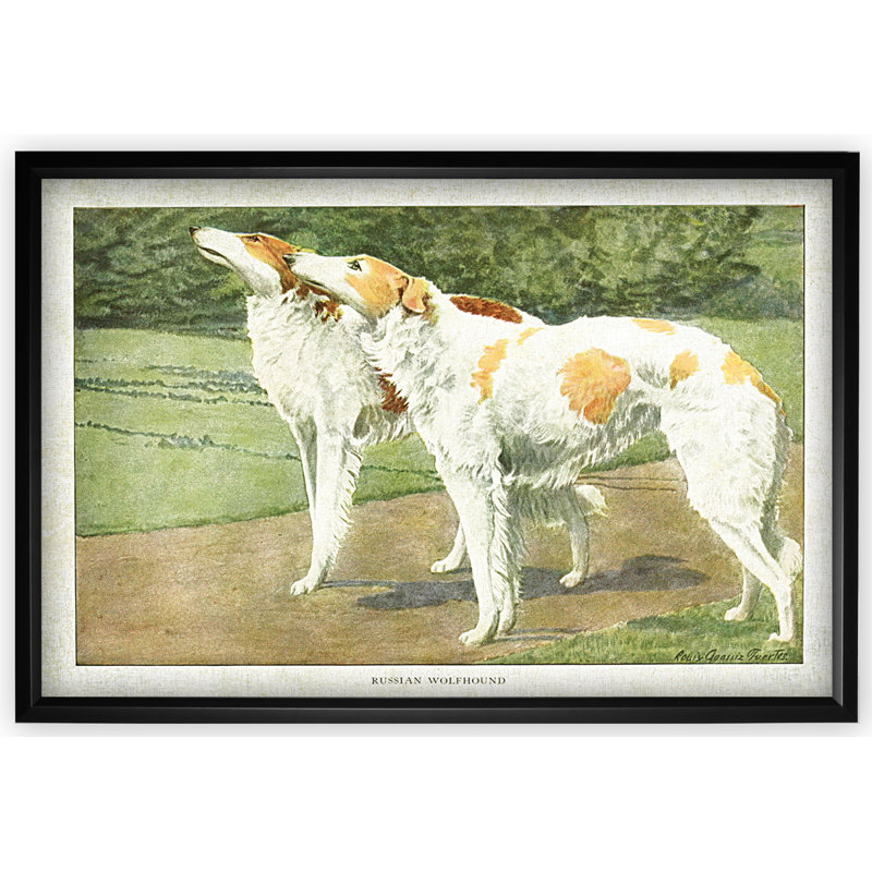 « canined assiette v », impression, H 27 po x l 39 po x P 2 po, Cadre noir, Pas de tapis
