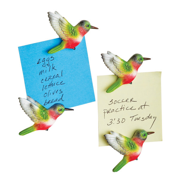 Winston Brands Magnet 1 Magnetic & Lettering | Wayfair