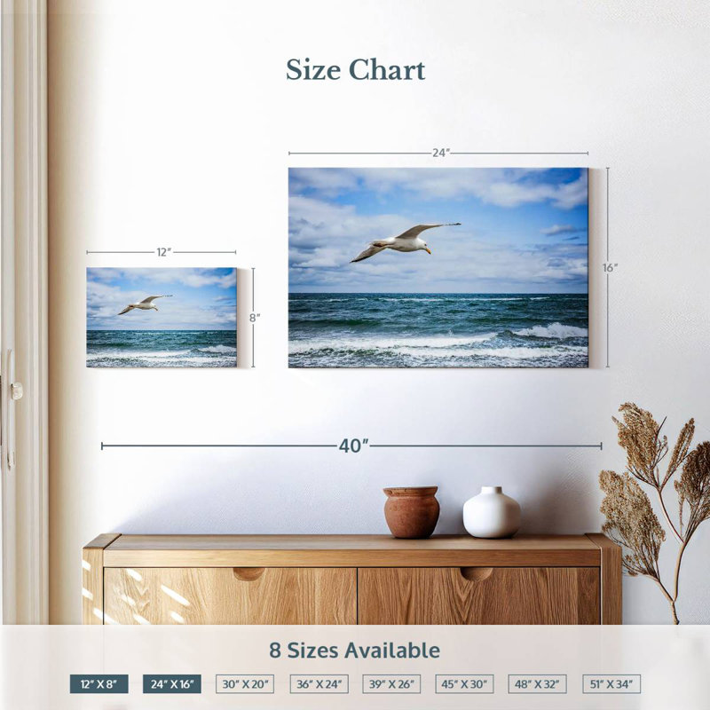 Mouette au-dessus de la mer