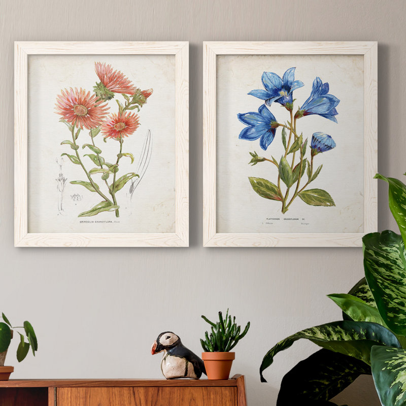 «Botanical I», ensemble de 2 reproductions d'art, Toile blanche encadrée, Pas de tapis, H 24 po x l 36 po x P 1,5 po