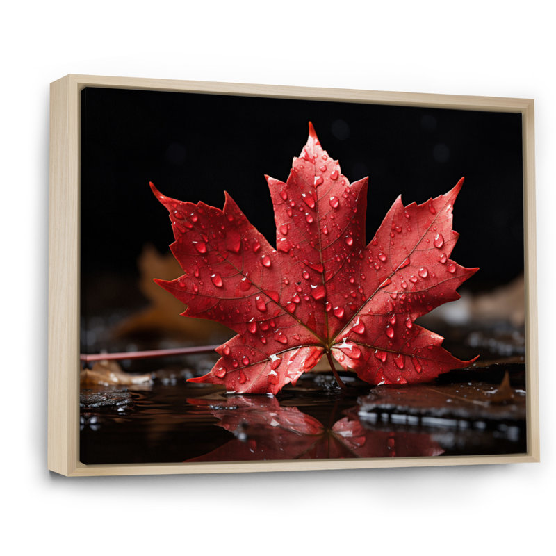 Canada Canada Pride III, H 34 po x l 44 po x P 1,5 po, Naturel