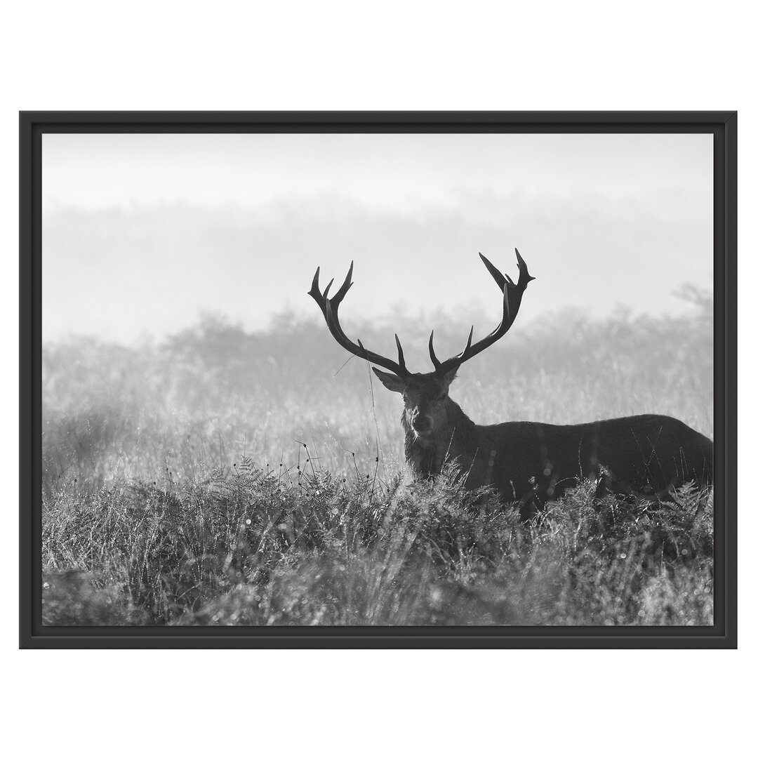 Gerahmtes Wandbild Rotwild Hirsch in AbenddÃ¤mmerung