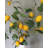 Artificial Fruit Lemon Branch 37.5"