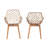 Hileman Wing Back Rattan Arm Chair in Greywash