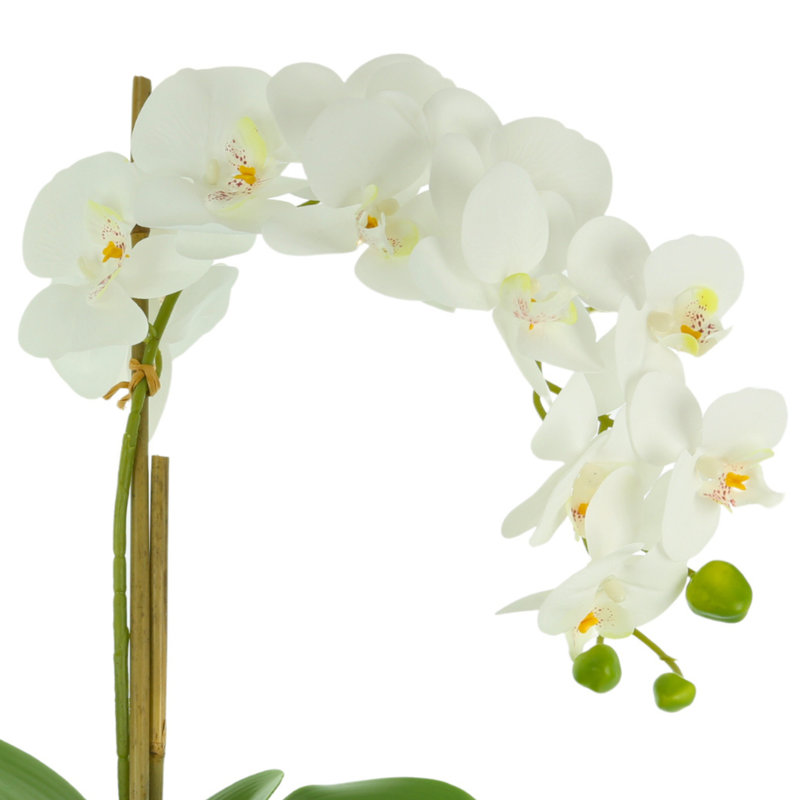 Polysilk Orchid Arrangement in Vase