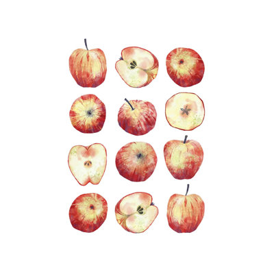 Apples By Nic Squirrell - Wrapped Canvas Graphic Art by Nic Squirrell - Wrapped Canvas Print