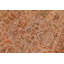 Tapis de zone en laine gris/vert 6 pi 1 po x 9 pi one-of-kind-the main noué la Oxendine