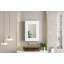 Armoire de rangement de salle de bain murale 20 "avec miroir-888874037-888874032