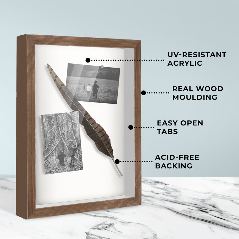 Aleighia Solid Wood Shadow Box Picture Frame, Brown, 19" W x 27" H