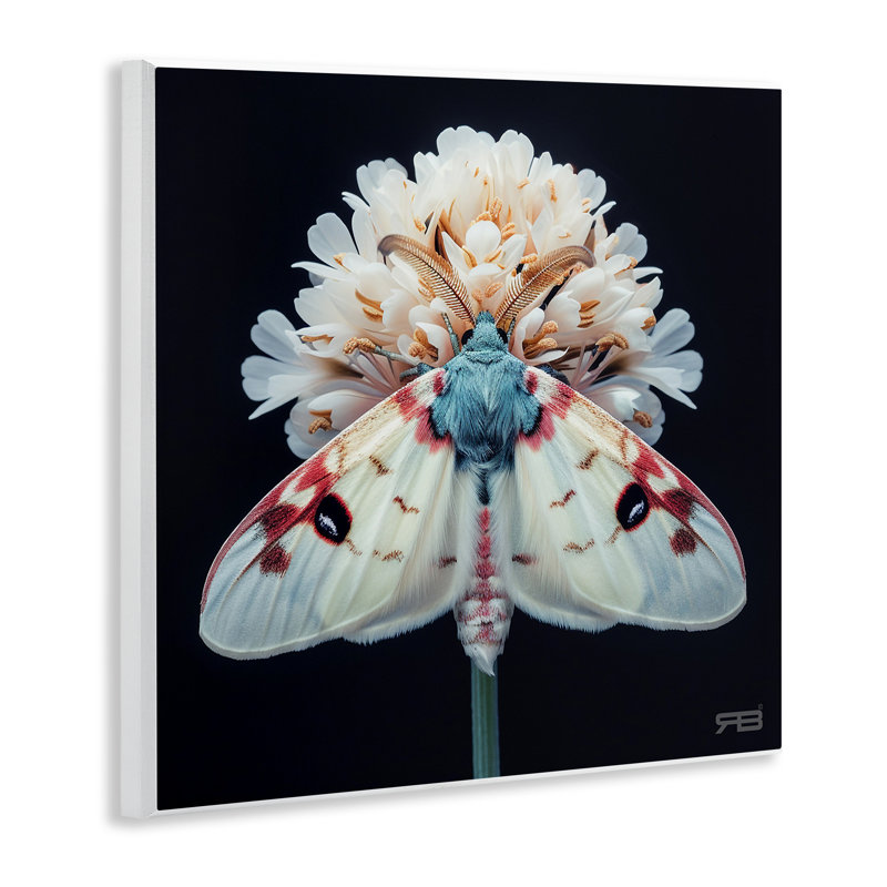 «Moth & White Flowers» par Roozbeh Bahramali