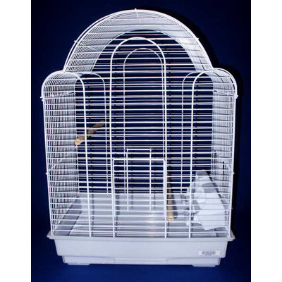 Cage à oiseau à plateau coquille Olvera