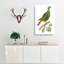Black-Capped Pigeon by George Shaw - Wrapped Canvas-55304579