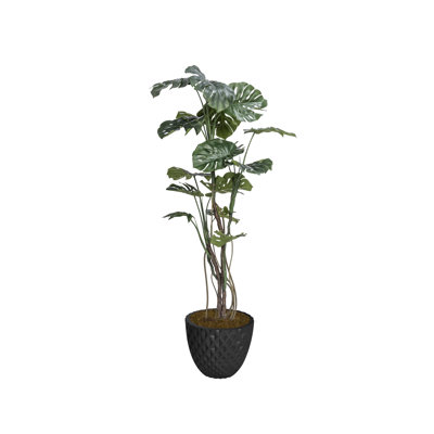 76,6 po Faux plante Monstera en pot