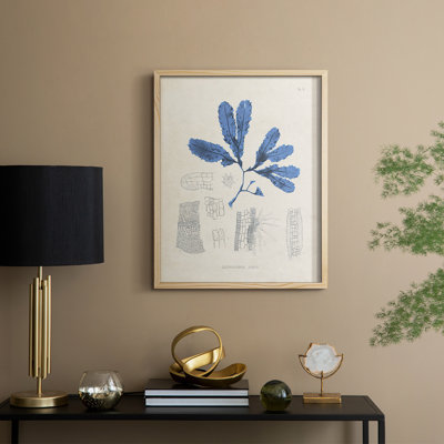 Blue Marine Algae VII, reproduction encadrée - bois massif