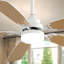 Ventilateur de plafond à DEL 52 pouces avec moteur à courant continu réversible à 5 pales 110V 6 lumières avec lumière-1607474673-1607474672