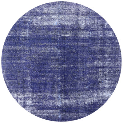 Janousek Oriental Indoor Rug