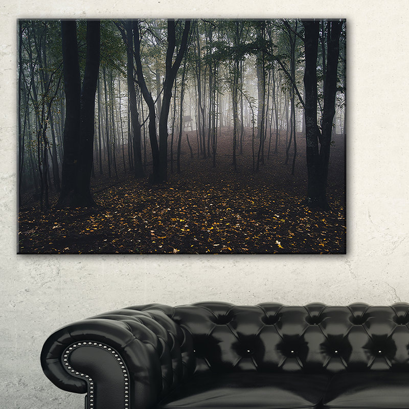 «Dark Spooky Misty Wild Forest», reproduction de photo, H 30 po x l 40 po x P 1,5 po, Toile tendue
