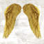 «Angel Wings IV» par Joannoo, art mural encadré-1123680075-1123680074-1123680065