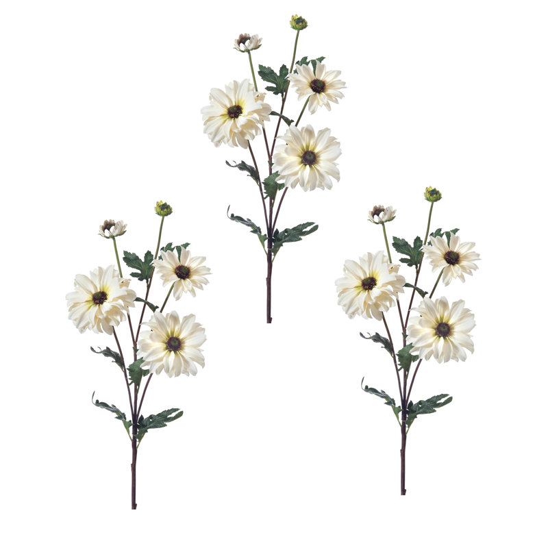 Daisy Shasta vaporisateur 24 po , Blanc