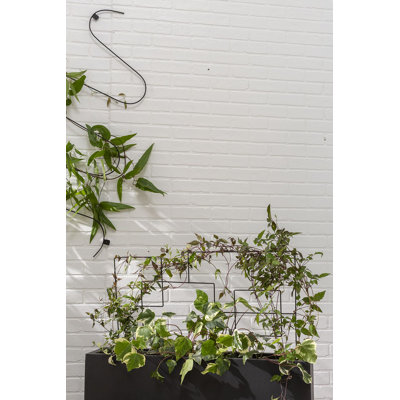 Metal Plant Support