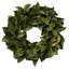Magnolia Leaf Wreath-1809458386